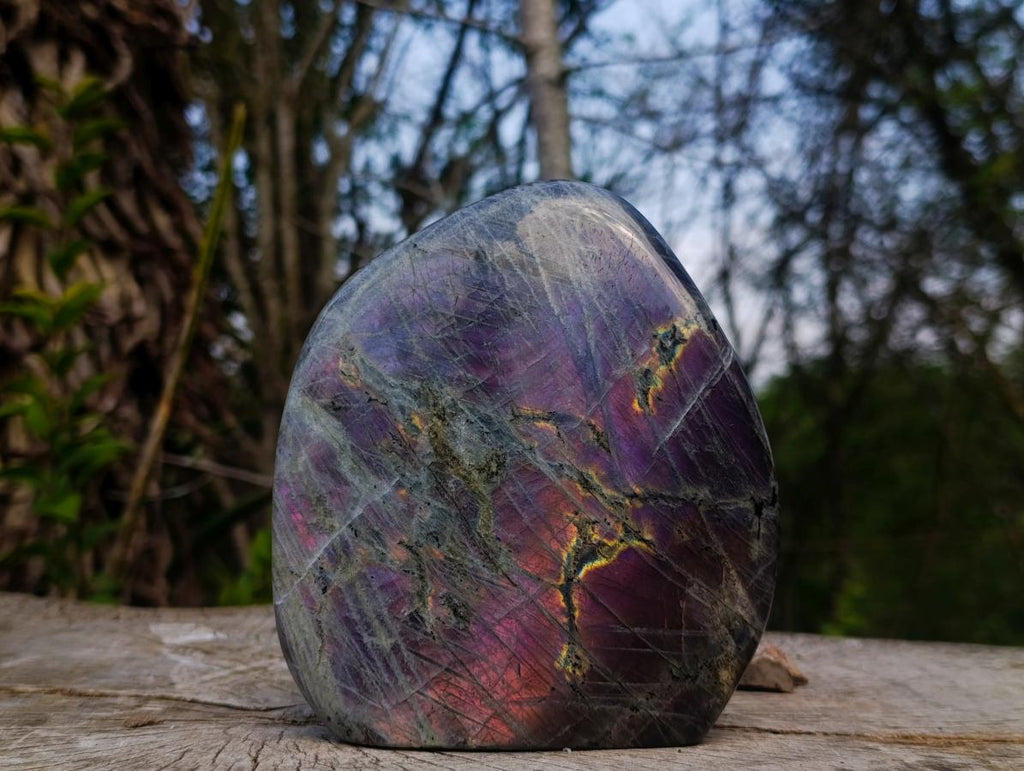 Polished Large Rare Purple Sunset Flash Labradorite Standing Display Piece x 1 From Madagascar