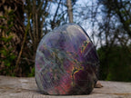 Polished Large Rare Purple Sunset Flash Labradorite Standing Display Piece x 1 From Madagascar