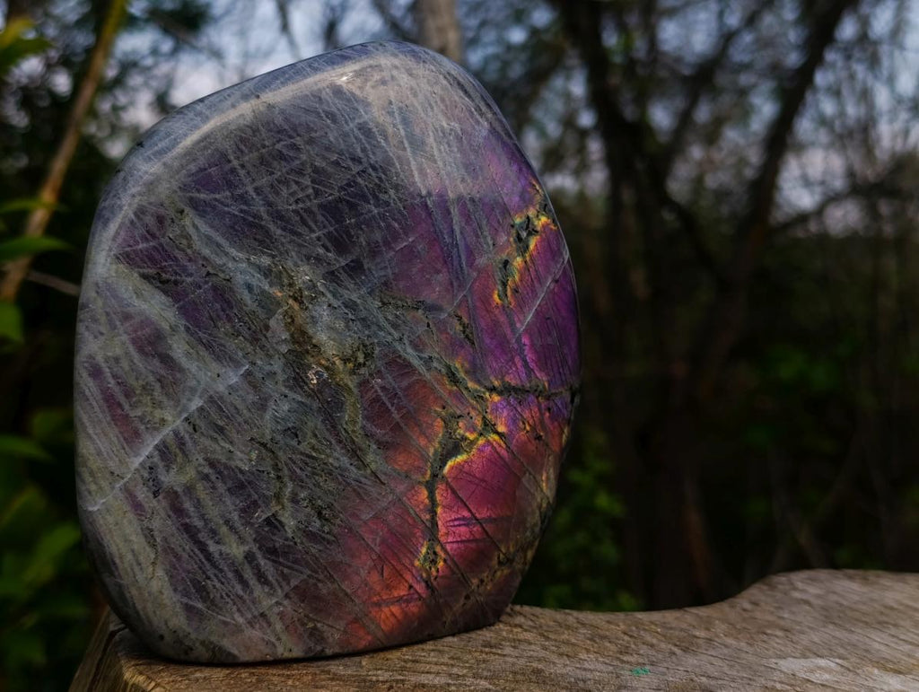 Polished Large Rare Purple Sunset Flash Labradorite Standing Display Piece x 1 From Madagascar
