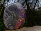 Polished Large Rare Purple Sunset Flash Labradorite Standing Display Piece x 1 From Madagascar