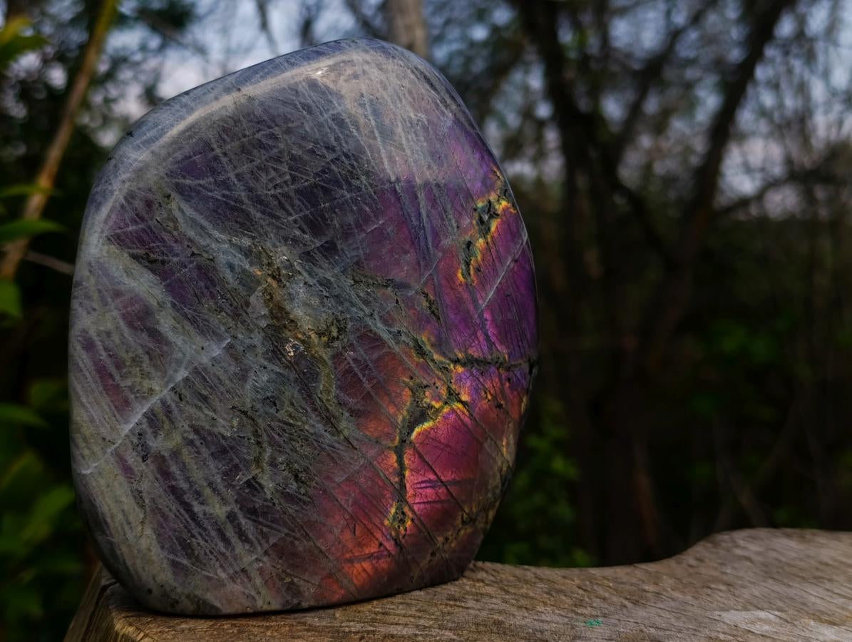 Polished Large Rare Purple Sunset Flash Labradorite Standing Display Piece x 1 From Madagascar