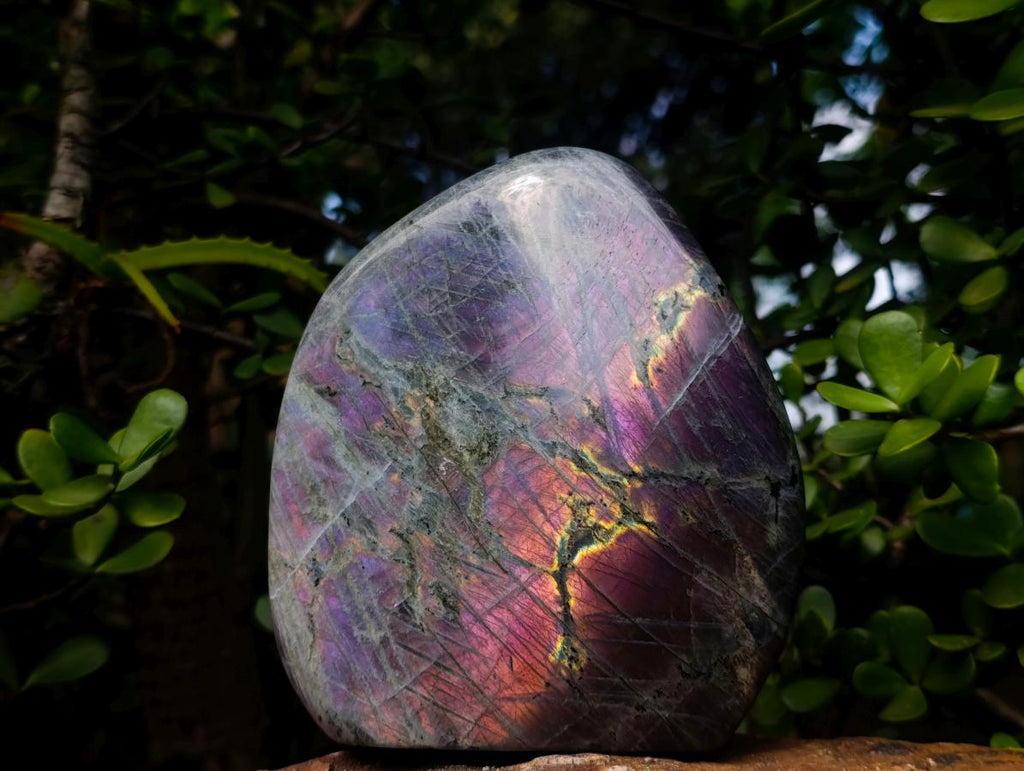 Polished Large Rare Purple Sunset Flash Labradorite Standing Display Piece x 1 From Madagascar