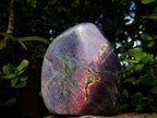 Polished Large Rare Purple Sunset Flash Labradorite Standing Display Piece x 1 From Madagascar