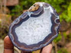 Polished One Side Red Shashe River Agate Nodules x 12 From Shashe River, Zimbabwe