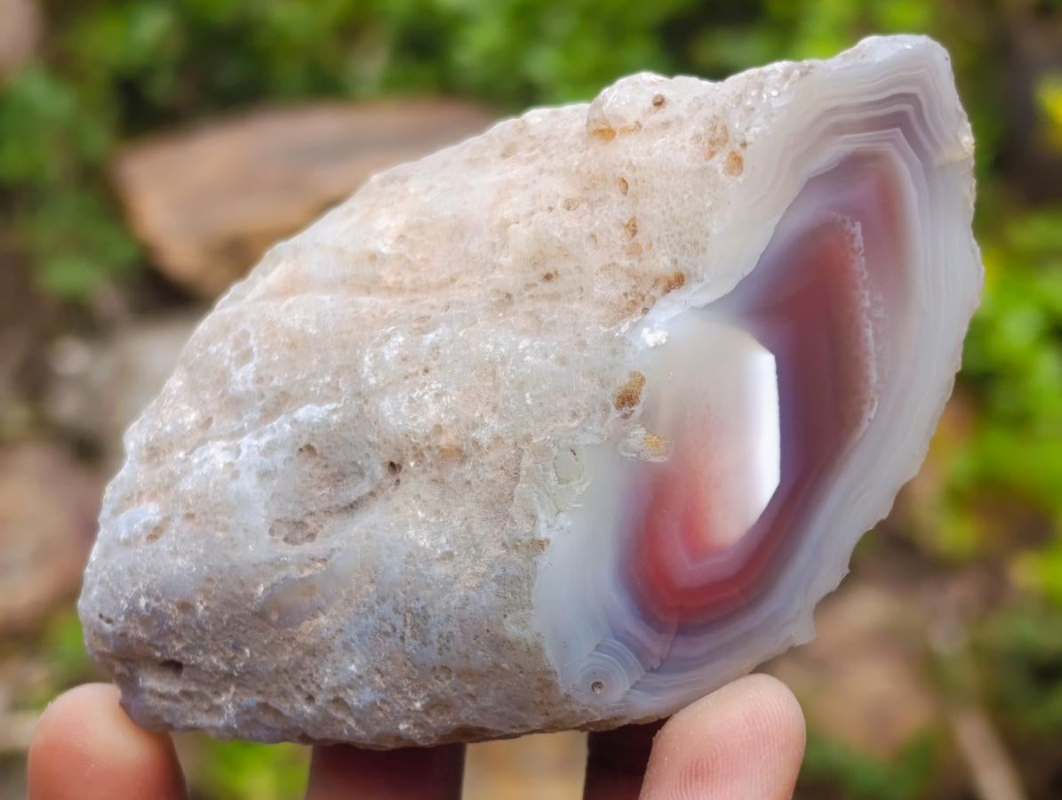 Polished One Side Red Shashe River Agate Nodules x 12 From Shashe River, Zimbabwe