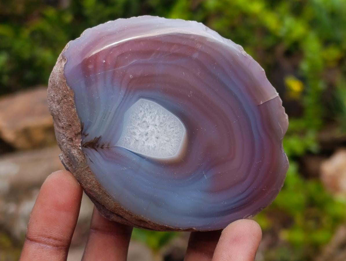 Polished One Side Red Shashe River Agate Nodules x 12 From Shashe River, Zimbabwe