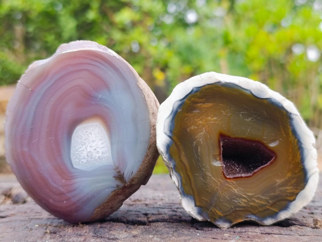 Polished One Side Red Shashe River Agate Nodules x 12 From Shashe River, Zimbabwe