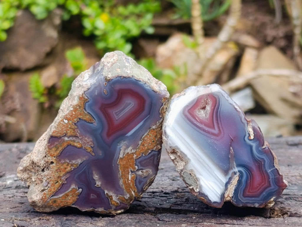 Polished One Side Red Shashe River Agate Nodules x 12 From Shashe River, Zimbabwe