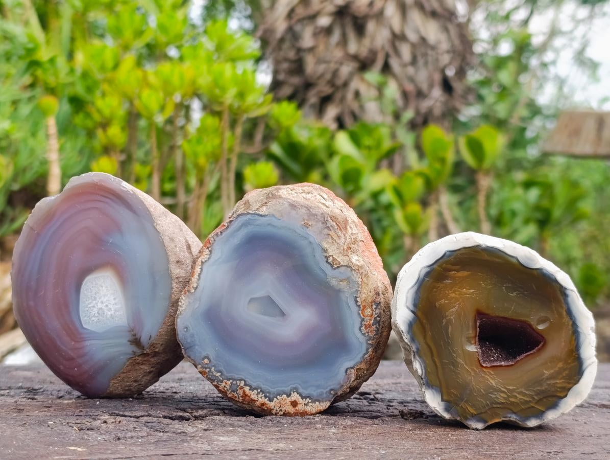 Polished One Side Red Shashe River Agate Nodules x 12 From Shashe River, Zimbabwe