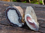 Polished One Side Red Shashe River Agate Nodules x 12 From Shashe River, Zimbabwe