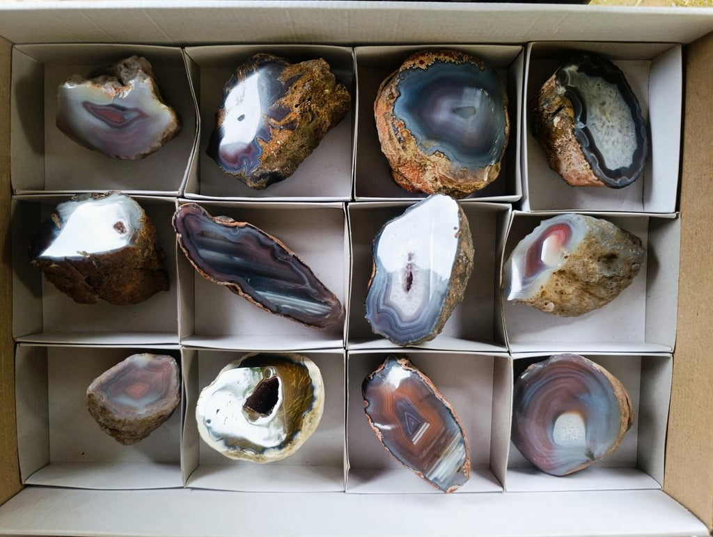 Polished One Side Red Shashe River Agate Nodules x 12 From Shashe River, Zimbabwe