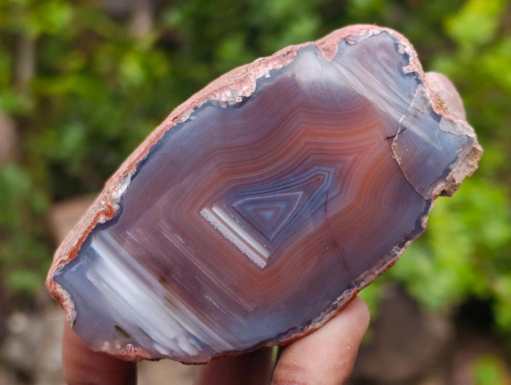 Polished One Side Red Shashe River Agate Nodules x 12 From Shashe River, Zimbabwe