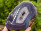 Polished One Side Red Shashe River Agate Nodules x 12 From Shashe River, Zimbabwe