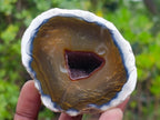 Polished One Side Red Shashe River Agate Nodules x 12 From Shashe River, Zimbabwe