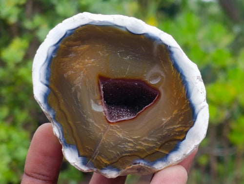 Polished One Side Red Shashe River Agate Nodules x 12 From Shashe River, Zimbabwe