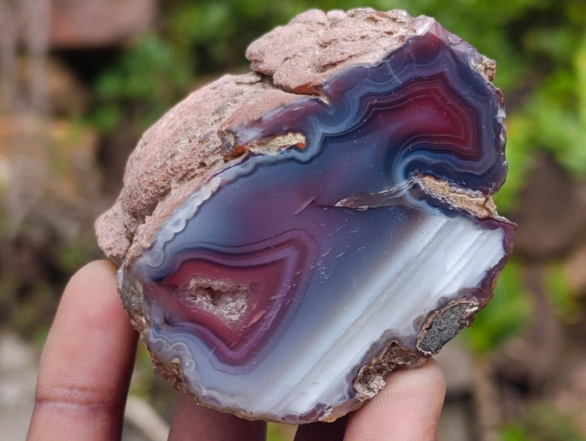 Polished One Side Red Shashe River Agate Nodules x 12 From Shashe River, Zimbabwe