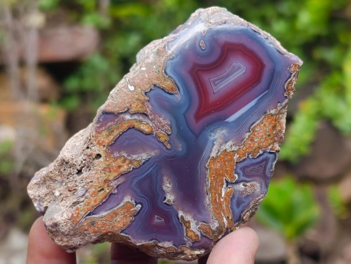 Polished One Side Red Shashe River Agate Nodules x 12 From Shashe River, Zimbabwe
