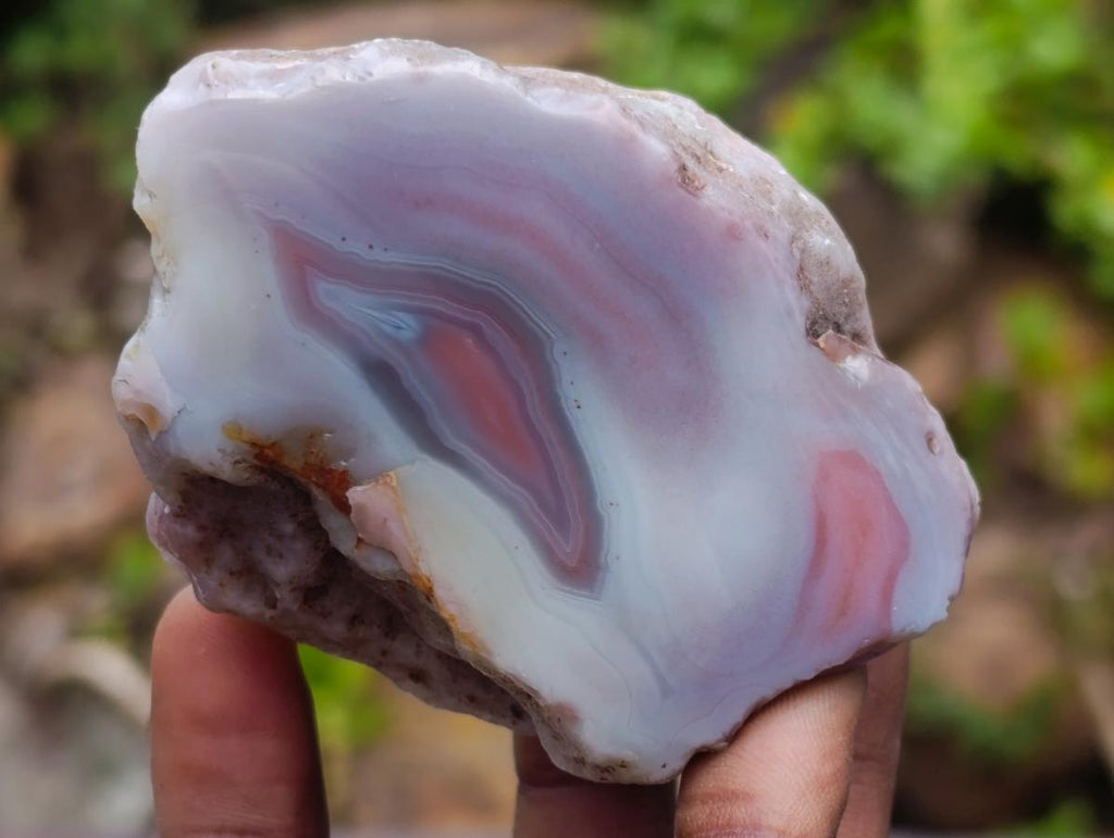 Polished One Side Red Shashe River Agate Nodules x 12 From Shashe River, Zimbabwe