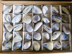 Polished and Natural Blue Lace Agate Free Forms x 35 From Nsanje, Malawi