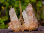 Natural Small Malagasy Quartz Clusters x 35 From Madagascar