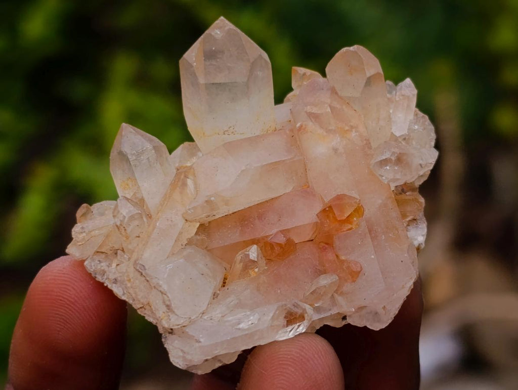 Natural Small Malagasy Quartz Clusters x 35 From Madagascar