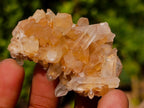 Natural Small Malagasy Quartz Clusters x 35 From Madagascar
