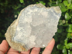 Natural Blue Lace Agate Specimens x 2 From Nsanje, Malawi