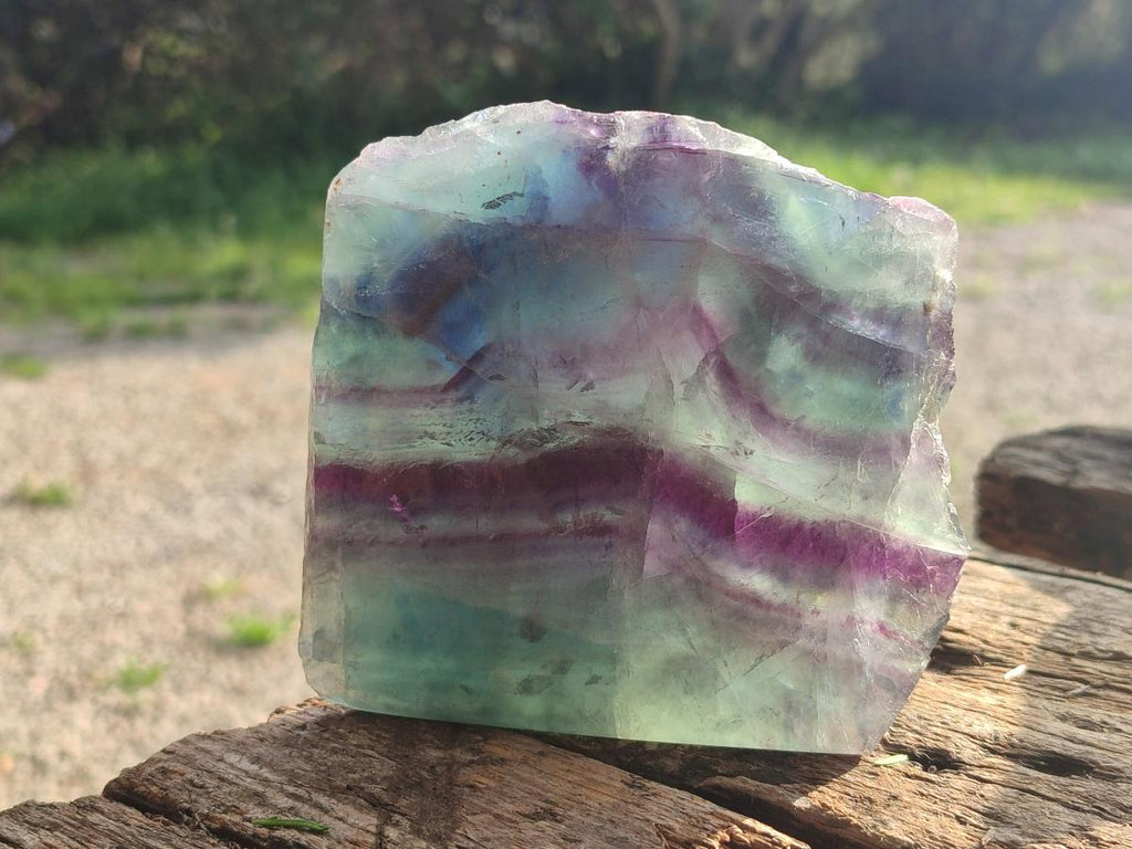 Polished One Side Watermelon Fluorite Slices x 3 From Uis, Namibia