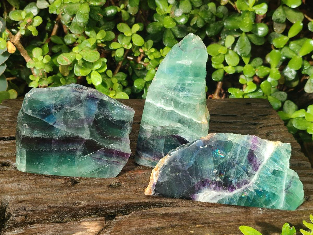 Polished One Side Watermelon Fluorite Slices x 3 From Uis, Namibia