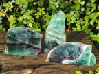 Polished One Side Watermelon Fluorite Slices x 3 From Uis, Namibia