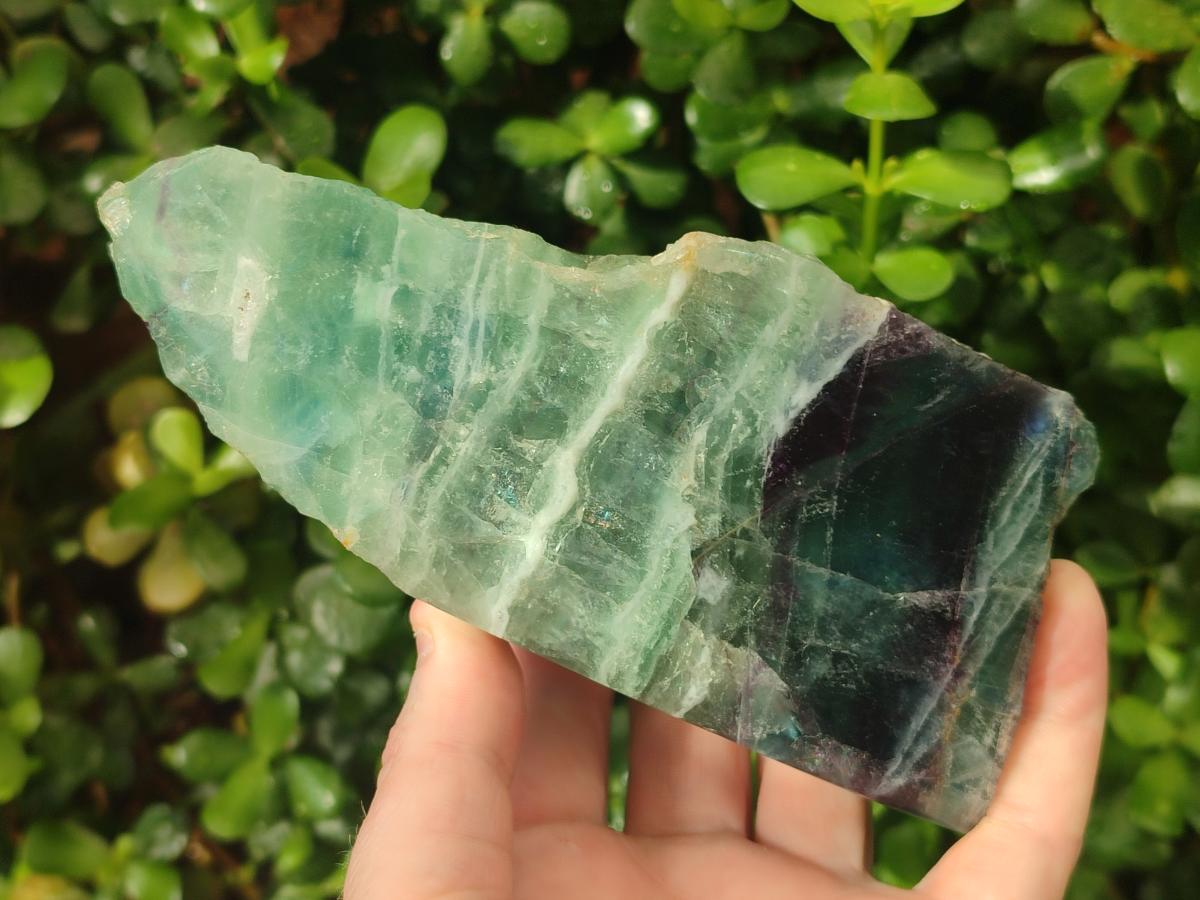 Polished One Side Watermelon Fluorite Slices x 3 From Uis, Namibia