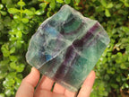 Polished One Side Watermelon Fluorite Slices x 3 From Uis, Namibia