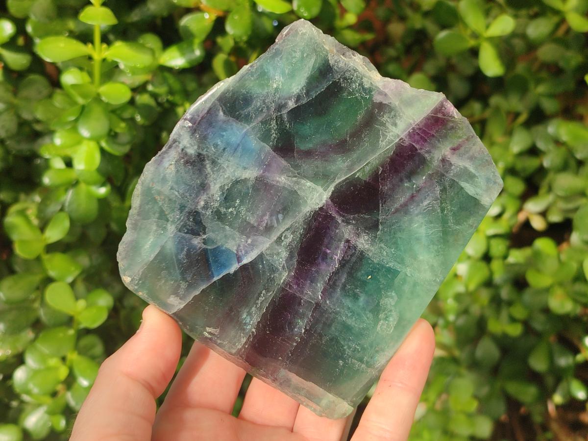Polished One Side Watermelon Fluorite Slices x 3 From Uis, Namibia