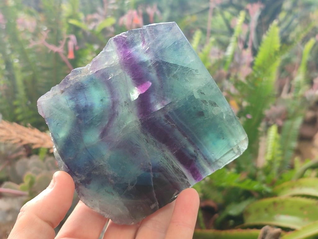 Polished One Side Watermelon Fluorite Slices x 3 From Uis, Namibia