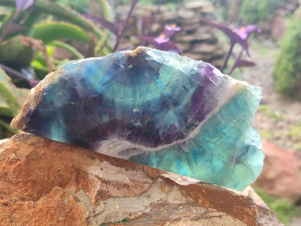 Polished One Side Watermelon Fluorite Slices x 3 From Uis, Namibia