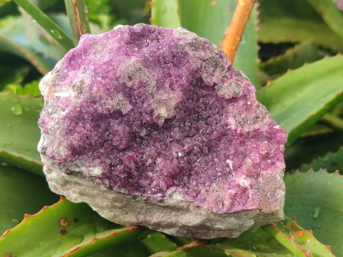 Natural Cabinet Size Spherocobaltite Specimens x 3 From Mashamba West Mine, Congo