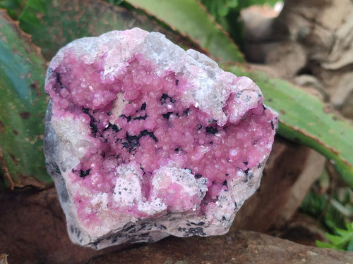Natural Cabinet Size Spherocobaltite Specimens x 3 From Mashamba West Mine, Congo