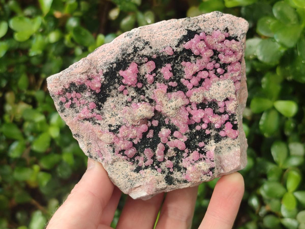 Natural Cabinet Size Spherocobaltite Specimens x 3 From Mashamba West Mine, Congo