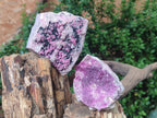 Natural Cabinet Size Spherocobaltite Specimens x 3 From Mashamba West Mine, Congo