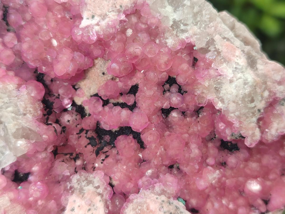 Natural Cabinet Size Spherocobaltite Specimens x 3 From Mashamba West Mine, Congo