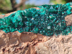 Natural XL Cabinet Size Dioptase Specimen on Dolomite Matrix  x 1 From Tantara Mine, Congo