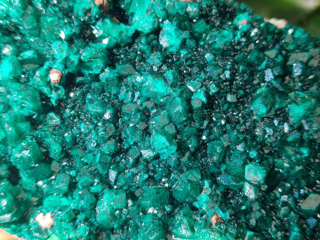 Natural XL Cabinet Size Dioptase Specimen on Dolomite Matrix  x 1 From Tantara Mine, Congo
