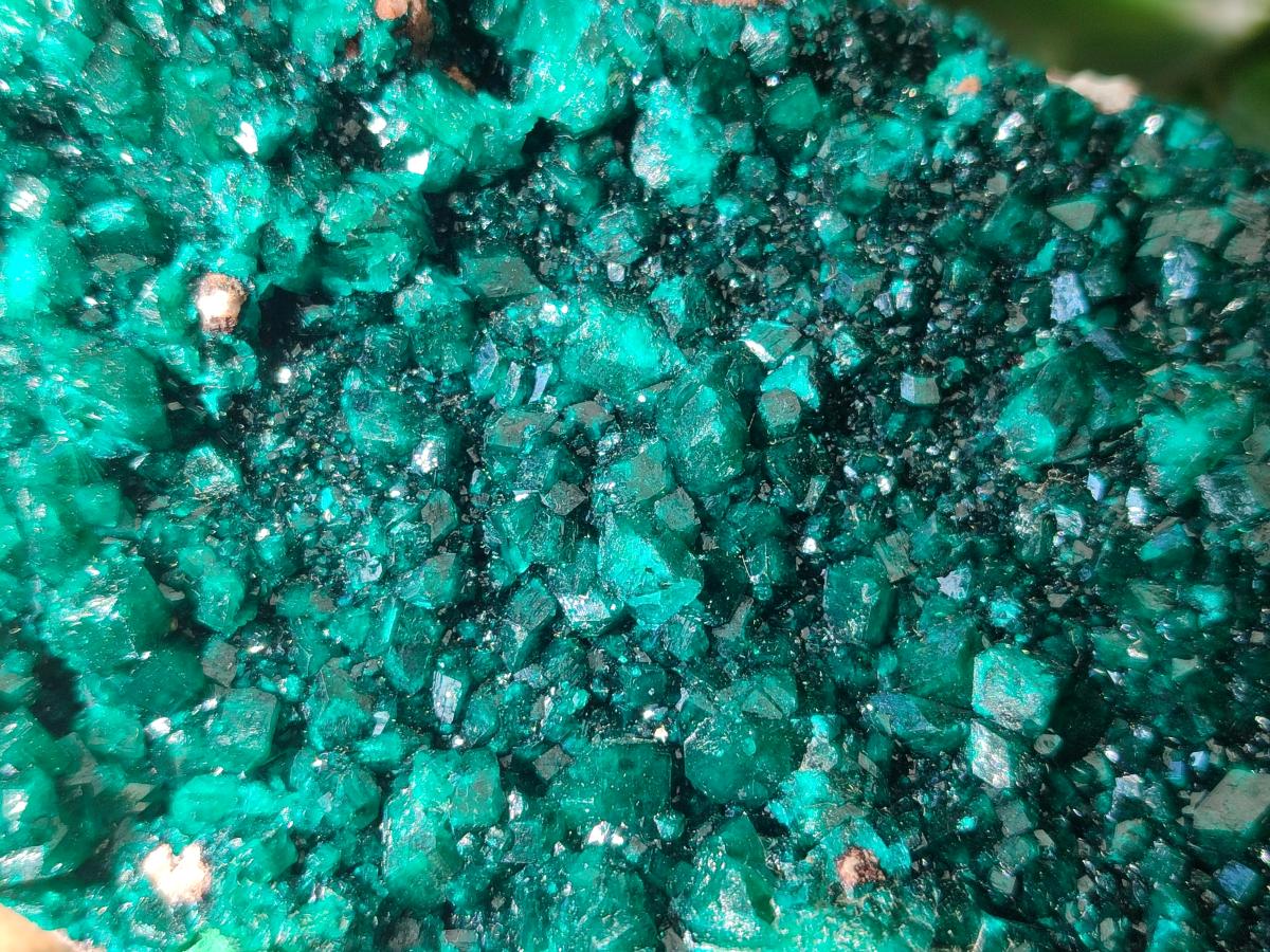 Natural XL Cabinet Size Dioptase Specimen on Dolomite Matrix  x 1 From Tantara Mine, Congo