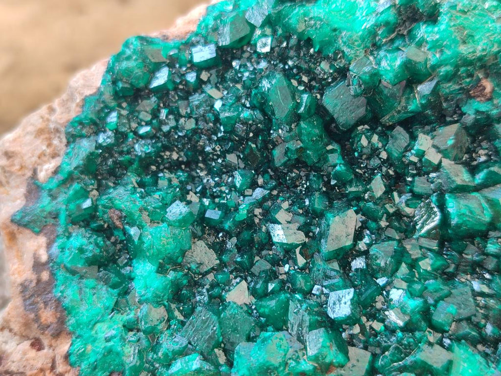 Natural XL Cabinet Size Dioptase Specimen on Dolomite Matrix  x 1 From Tantara Mine, Congo