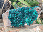 Natural XL Cabinet Size Dioptase Specimen on Dolomite Matrix  x 1 From Tantara Mine, Congo