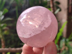 Polished Gemmy Rose Quartz Spheres x 3 From Madagascar