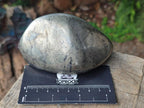 Polished Basalt Pharaoh Stone Free Forms x 3 From Iron Duke Mine, Zimbabwe