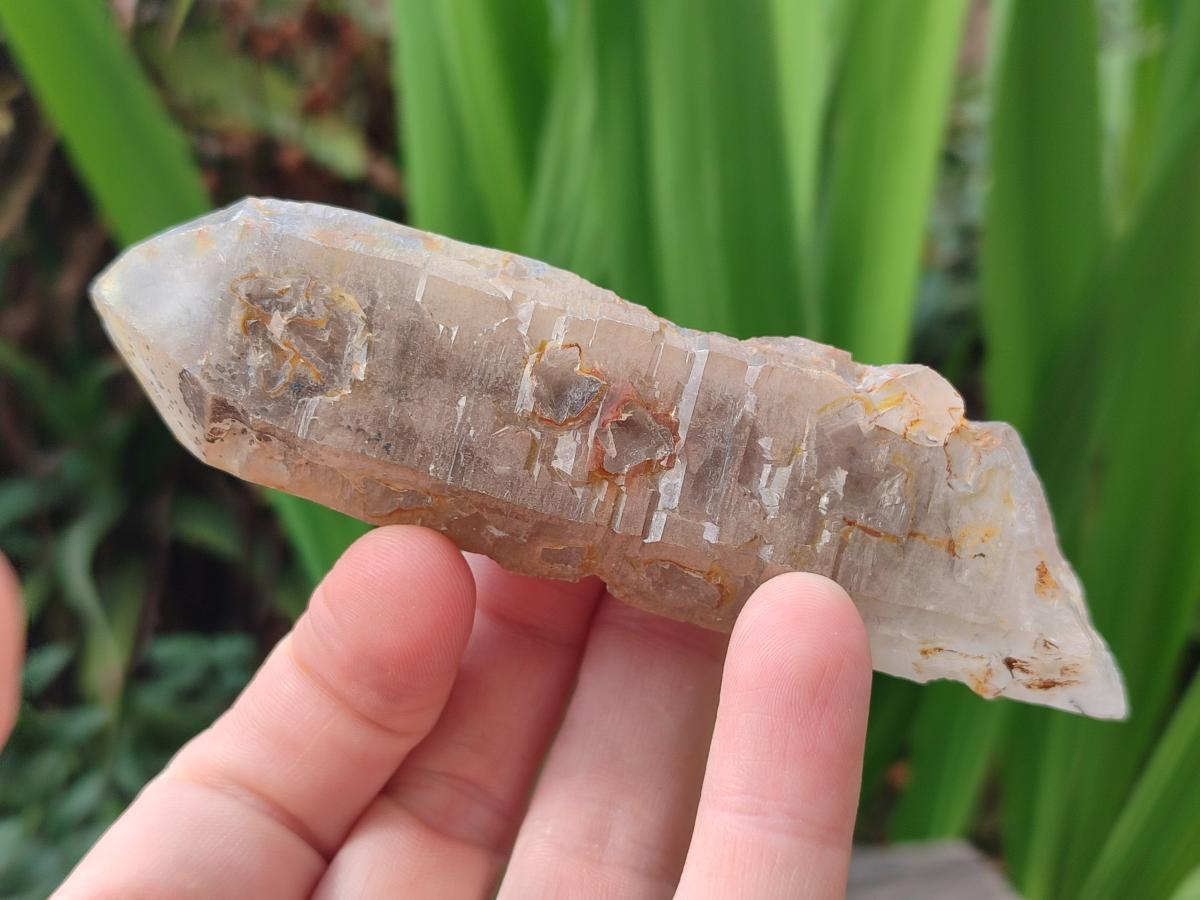Natural Smokey Quartz Crystals x 12 From Erongo, Namibia