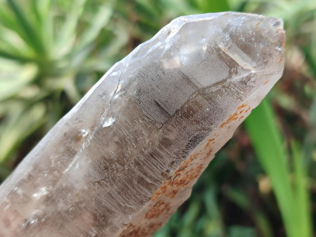 Natural Smokey Quartz Crystals x 12 From Erongo, Namibia