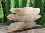 Natural Smokey Quartz Crystals x 12 From Erongo, Namibia